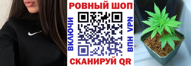 Купить наркотики сайты Кадников Канабис  Alpha-PVP  omg зеркало  Меф  Cocaine  Гашиш 