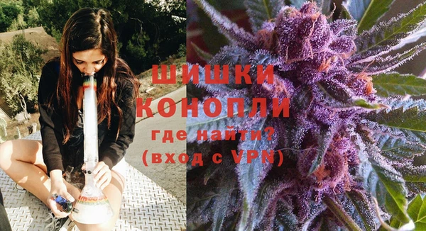 PSILOCYBIN Нефтекумск