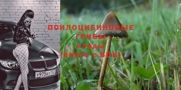 первитин Нея