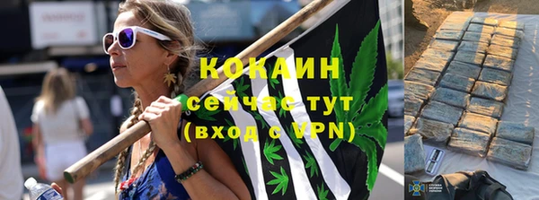 PSILOCYBIN Нефтекумск